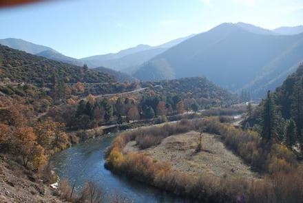 TREE OF HEAVEN CAMPGROUND photo 3