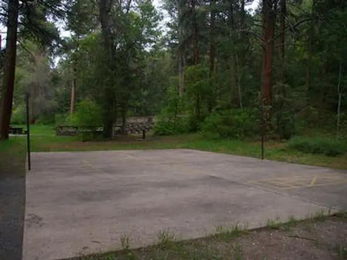 PONDEROSA PICNIC AREA photo 2