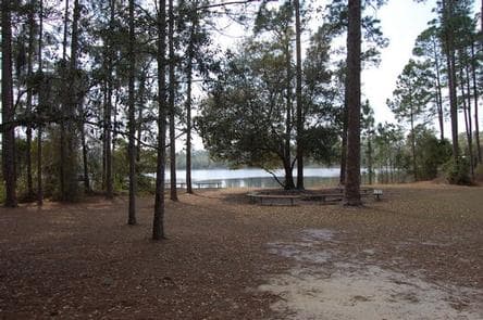 LAKE SHORE GROUP CAMP photo 3