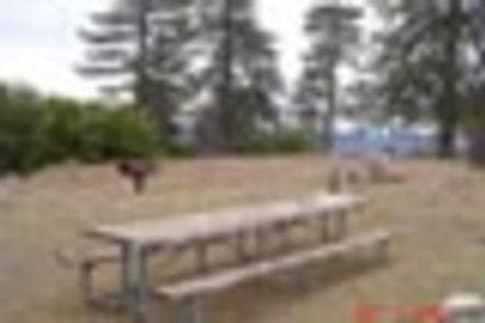 LIGHTNING POINT GROUP CAMPGROUND photo 3