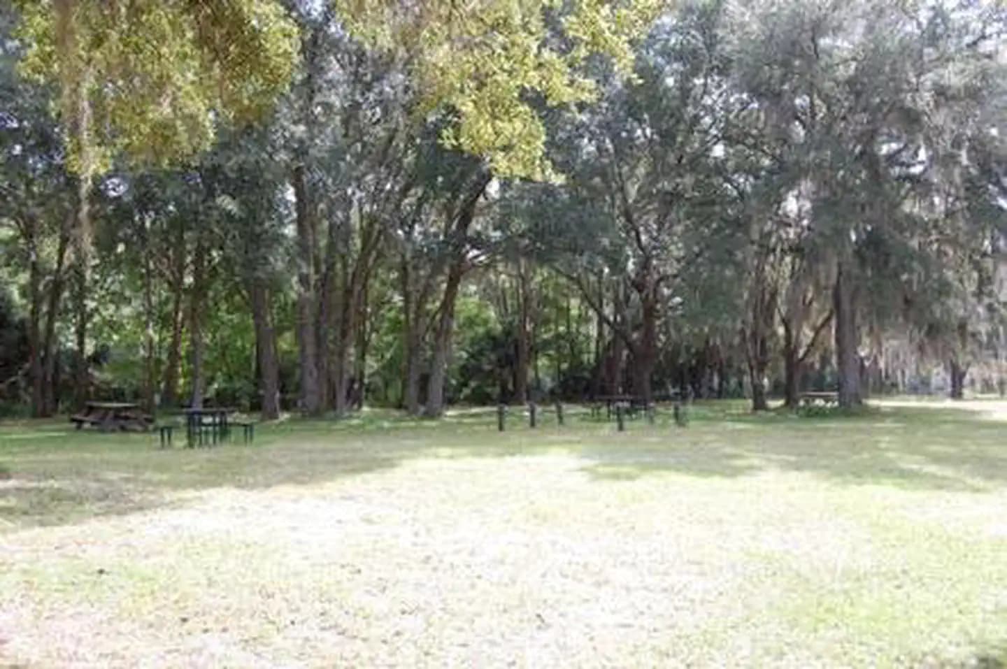 RIVER FOREST GROUP SITE campground