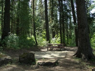 EVERGREEN CAMPGROUND photo 3