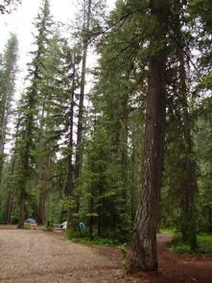 GROUSE CREEK GROUP SITE photo 2