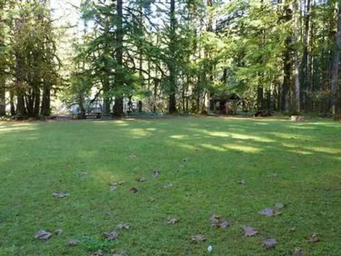 RUJADA DAY USE PICNIC AREA photo 3