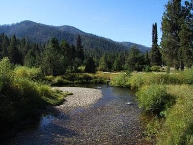 SILVER CREEK CAMPGROUND photo 3