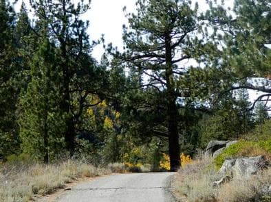 KIT CARSON CAMPGROUND campground