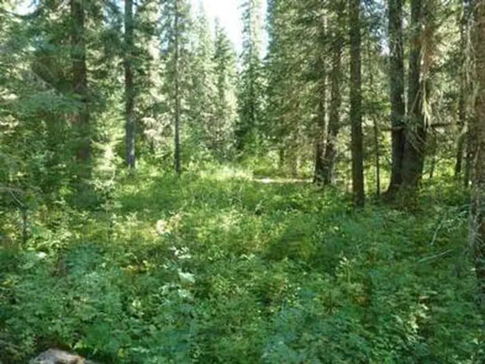 BERLIN FLATS photo 3