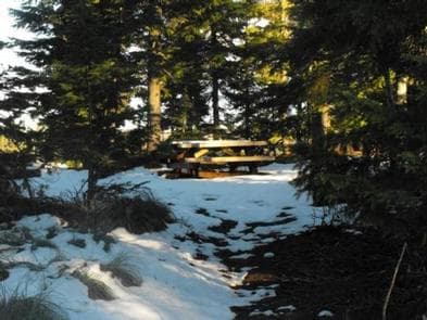 BIG LAKE WEST CAMPGROUND photo 3