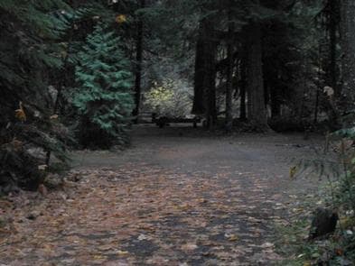 LIMBERLOST CAMPGROUND campground