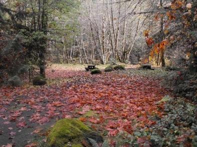 FRENCH PETE CAMPGROUND photo 3