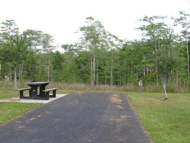 Midway Campground (FL) photo 3