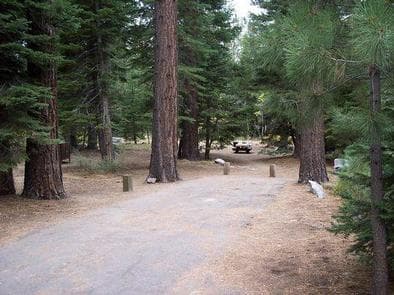FALLEN LEAF CAMPGROUND photo 3