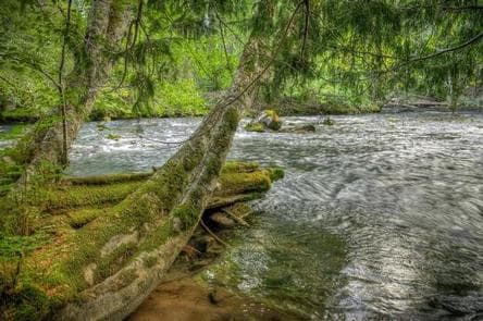 Adams Fork Campground campground