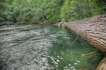 Adams Fork Campground photo 3