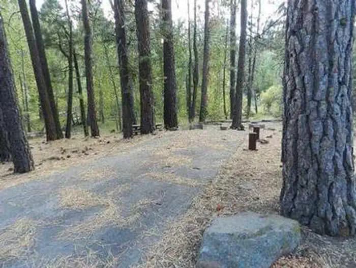 COTTONWOOD CREEK photo 2