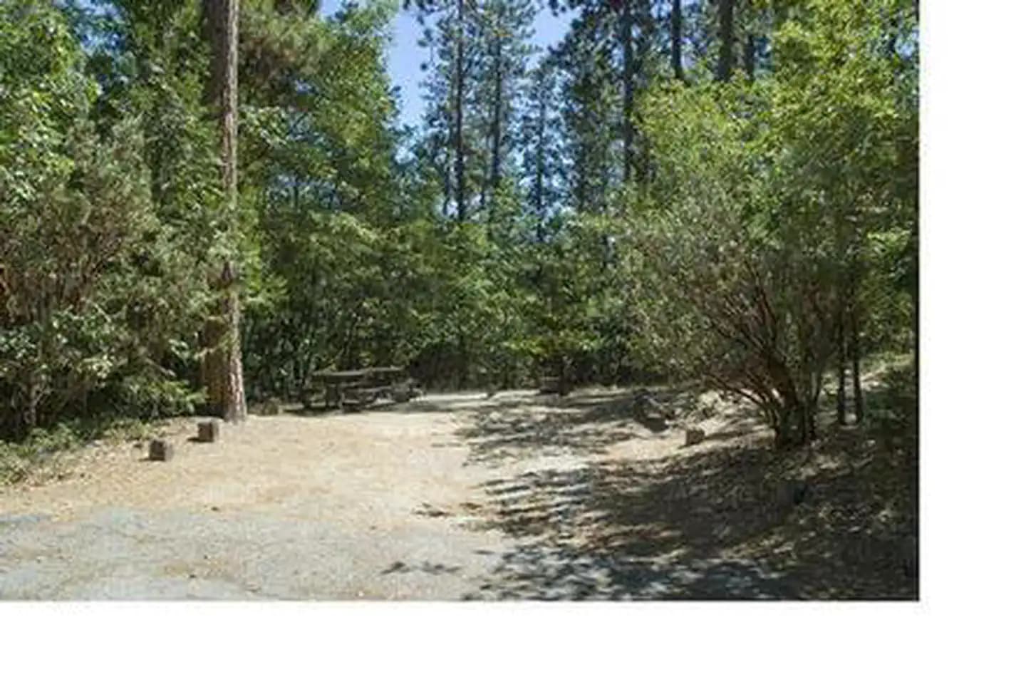 WISHON BASS LAKE photo 3