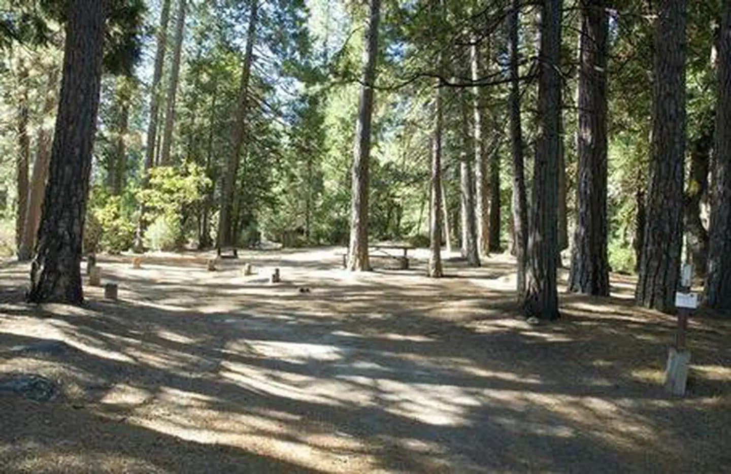 WISHON BASS LAKE campground