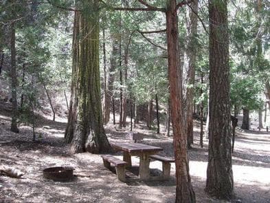 FRY CREEK CAMPGROUND campground