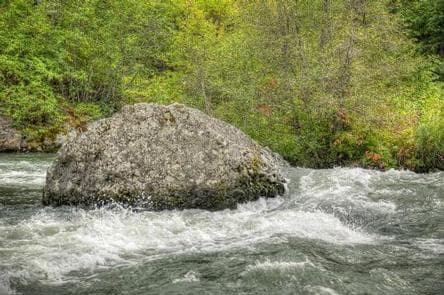 Hause Creek Campground photo 3