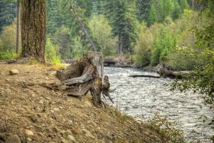 CEDAR SPRINGS CAMPGROUND (WA) campground