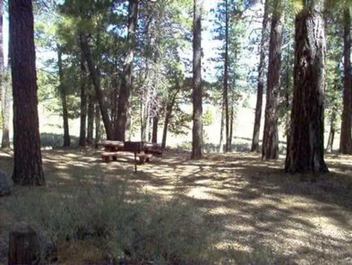 PROSSER FAMILY photo 3