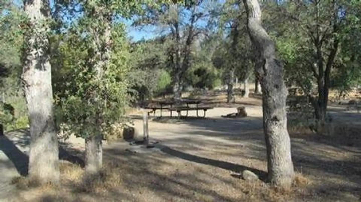 LIVE OAK SOUTH photo 3