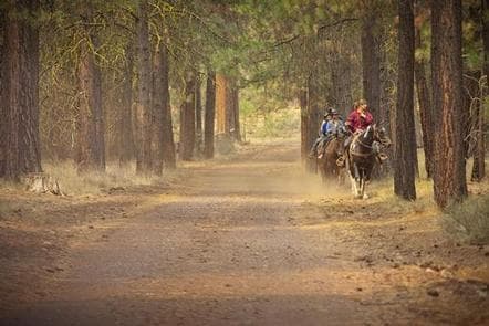 GRAHAM CORRAL HORSE CAMPGROUND photo 3