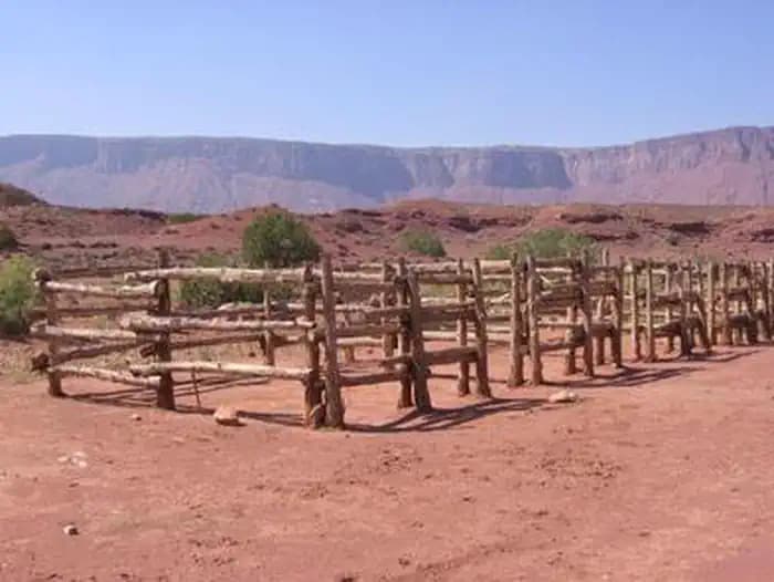 Upper Onion Creek Group Site photo 2