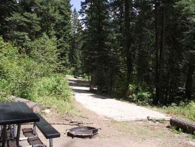 Cold Springs Campground - Boise NF (ID) photo 3