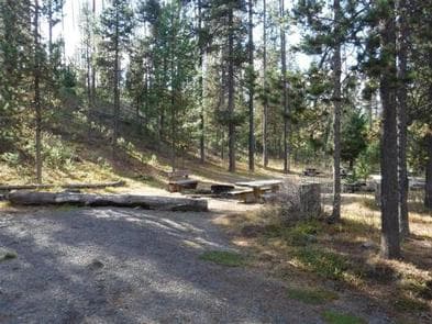 EAST LEMOLO CAMPGROUND photo 3