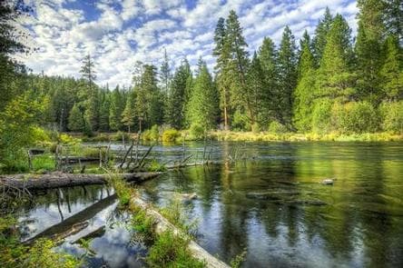 ALLEN SPRINGS CAMPGROUND campground