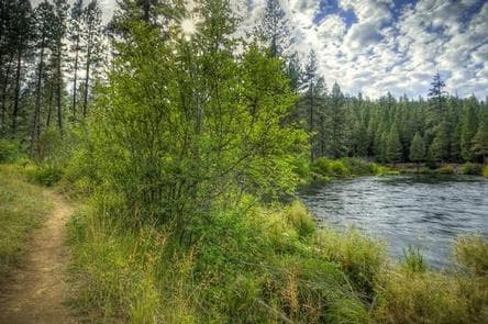 ALLEN SPRINGS CAMPGROUND photo 3