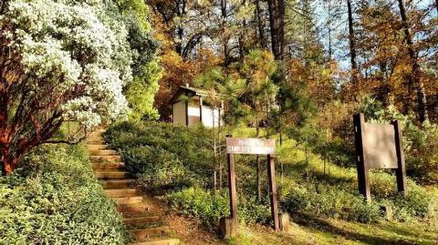 NELSON POINT photo 2