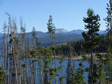 PINEY CAMPGROUND AND BOAT LAUNCH photo 3