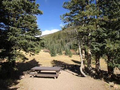 BEAR LAKE CAMPGROUND (CO) photo 3