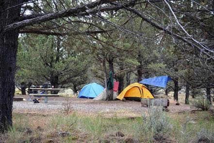 South Steens Campground campground