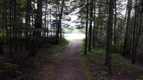 RICHARDSON LAKE CAMPGROUND campground