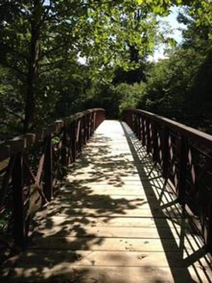 Raven Cliff Recreation Area photo 2