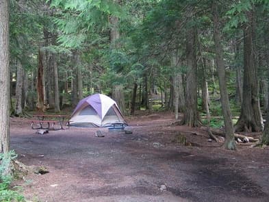 Avalanche Campground photo 3