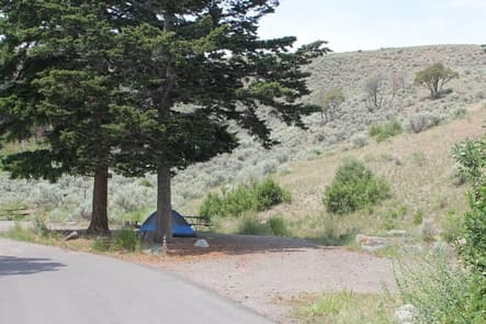 Mammoth Campground (Yellowstone) photo 3
