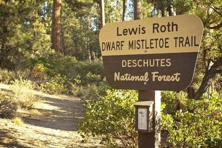 NORTH TWIN LAKE CAMPGROUND campground