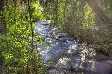 CANDLE CREEK CAMPGROUND photo 3