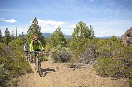 DRIFTWOOD CAMPGROUND - DESCHUTES photo 3