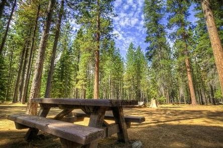 JACK CREEK CAMPGROUND photo 3