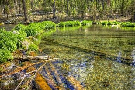 FALL RIVER CAMPGROUND photo 3