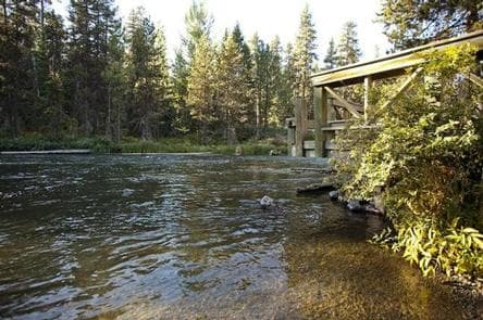 NORTH DAVIS CREEK CAMPGROUND photo 3