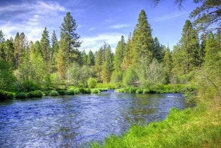 PINE REST CAMPGROUND photo 3