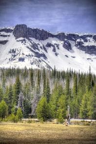 THREE CREEKS MEADOW HORSE CAMP photo 3