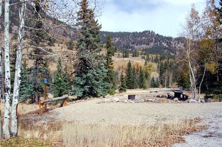 Mill Creek Campground (CO) photo 3