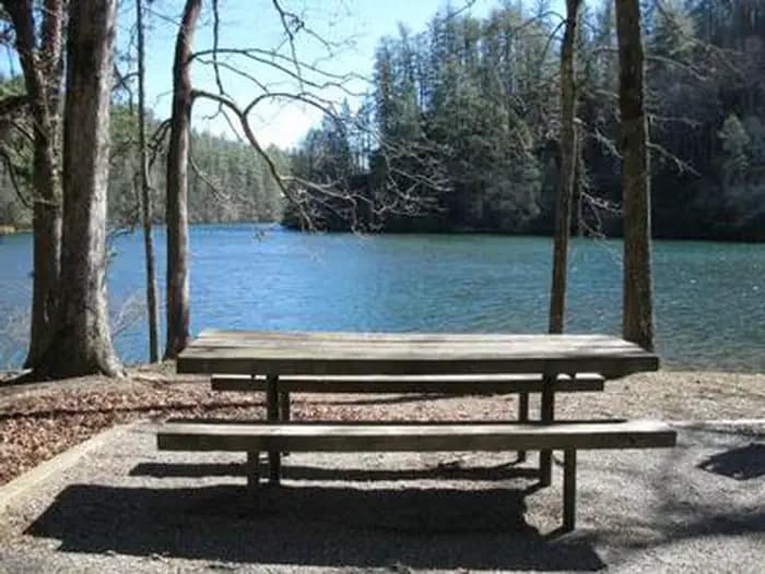 LAKE RABUN BEACH RECREATION AREA photo 3